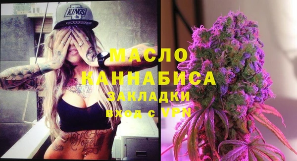 хмурый Каменка