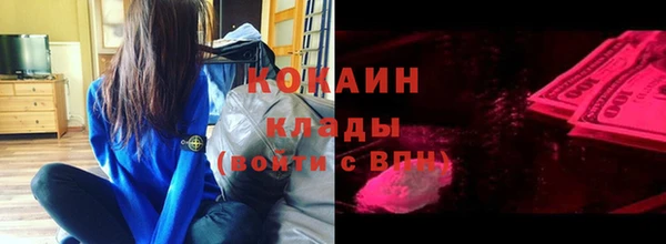 хмурый Каменка