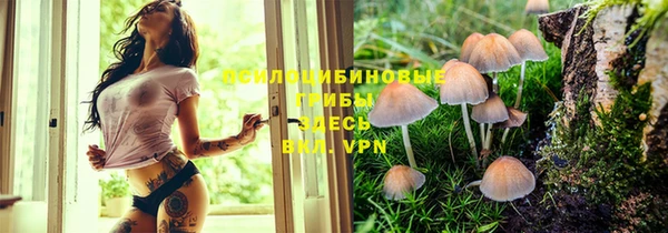 хмурый Каменка