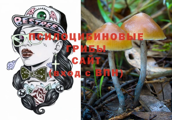 хмурый Каменка