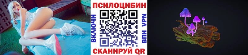 Галлюциногенные грибы GOLDEN TEACHER  Купить где  Гатчина 
