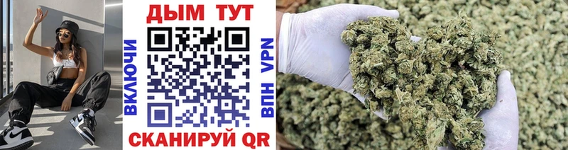 Купить  Гатчина  Конопля Bruce Banner 